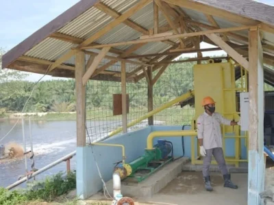 Limbah sawit yang dihasilkan   PT Gelora Mandiri Membangun (GMM) di Halmahera Selatan, Maluku Utara diolah menjadi pupuk untuk menyuburkan tanaman. (Antara/HO-PT GMM)